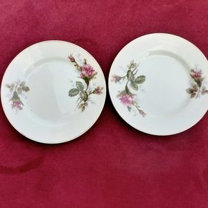 Vtg Child's China 'Moss Rose'